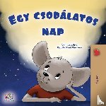 Sagolski, Sam, Books, Kidkiddos - A Wonderful Day (Hungarian Children's Book)