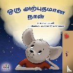 Sagolski, Sam, Books, Kidkiddos - A Wonderful Day (Tamil Children's Book)