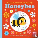 Pat-a-Cake - What Do Animals Do All Day?: Honeybee