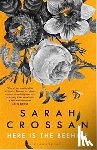 Sarah Crossan - Here is the Beehive