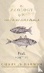 Darwin, Charles, Jenyns, Leonard - Fish - Part IV - The Zoology of the Voyage of H.M.S Beagle