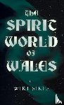 Sikes, Wirt - The Spirit World of Wales - Including Ghosts, Spectral Animals, Household Fairies, the Devil in Wales and Angelic Spirits (Folklore History Series)