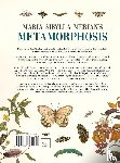  - Maria Sibylla Merian's Metamorphosis