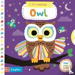 Books, Campbell - My Magical Owl