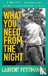 Petitmangin, Laurent - What You Need From The Night