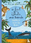 Donaldson, Julia, Little Wild Things - The Snail and the Whale and Friends Outdoor Activity Book