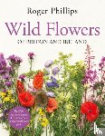 Phillips, Roger - Wild Flowers
