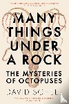 Scheel, David - Many Things Under a Rock