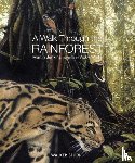 Jenkins, Martin - A Walk Through the Rainforest