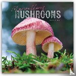 Calendars, Carousel - Marvellous Mushrooms Square Wall Calendar 2025