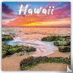 Carousel Calendar - Hawaii Square Wall Sunday Start Calendar