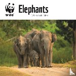 Carousel Calendar - WWF Elephants Square Wall Calendar 2024