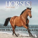 Calendars, Carousel - Horses Mini Calendar 2024