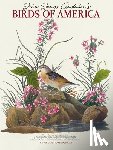 Gladstone - Audubons Birds Of America Deluxe Wall Su