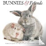 Gladstone - Bunnies Friends Square Wall Sunday Start