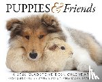 Gladstone - Puppies Friends Box Calendar 2026