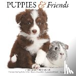 Gladstone - Puppies Friends Square Wall Sunday Start