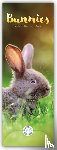 Carousel Calendar - Bunnies Slim Calendar 2026