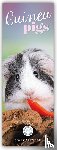Carousel Calendar - Guinea Pigs Slim Calendar 2026