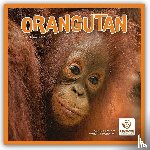 Carousel Calendar - Orangutan Square Wall Calendar 2026