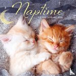 Carousel Calendars - Naptime Square Mini Sunday Start Calenda