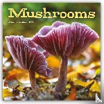 Carousel Calendar - Mushrooms Square Wall Sunday Start Calen