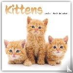 Carousel Calendar - Kittens Square Wall Sunday Start Calenda