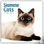 Carousel Calendar - Siamese Cats Square Wall Sunday Start Ca