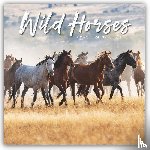 Carousel Calendar - Wild Horses Square Wall Sunday Start Cal