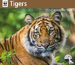 Carousel Worldwide - WWF Tigers: 12x14 Deluxe Wall