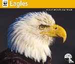 Carousel Worldwide - WWF Eagles: 12x14 Deluxe Wall