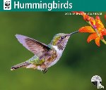 Carousel Worldwide - WWF Hummingbirds: 12x14 Deluxe Wall