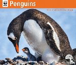 Carousel Worldwide - WWF Penguins: 12x14 Deluxe Wall