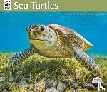 Carousel Worldwide - WWF Sea Turtles: 12x14 Deluxe Wall