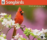 Carousel Worldwide - WWF Songbirds: 12x14 Deluxe Wall