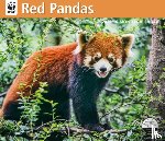 Carousel Worldwide - WWF Red Pandas: 12x14 Deluxe Wall