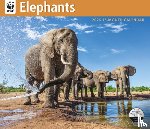 Carousel Worldwide - WWF Elephants: 12x14 Deluxe Wall