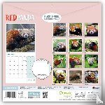 Carousel Calendar - Red Pandas (PFP) W