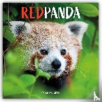Carousel Calendar - Red Pandas (PFP) W
