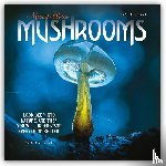 Carousel Calendar - Marvellous Mushrooms W