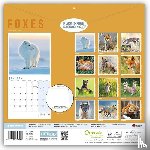Carousel Calendar - Foxes (PFP) W