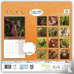 Carousel Calendar - Orangutan (PFP) W