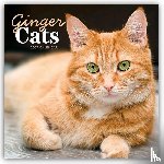 Carousel Calendar - Ginger Cats (PFP) W