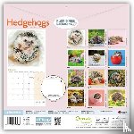Carousel Calendar - Hedgehogs (PFP) W
