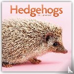 Carousel Calendar - Hedgehogs (PFP) W