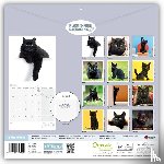 Carousel Calendar - Black Cats (PFP) W