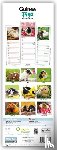 Carousel Calendar - Guinea Pigs (PFP)Slim