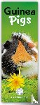 Carousel Calendar - Guinea Pigs (PFP)Slim
