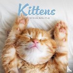 Carousel Worldwide - Kittens Square Mini Sunday Start Calenda