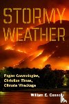 Connolly, William E. - Stormy Weather